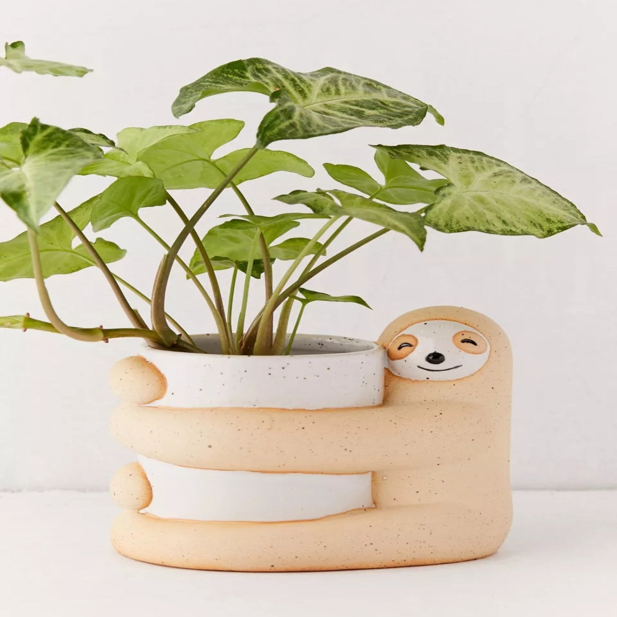 Ceramic sloth planter with a plant on a white background